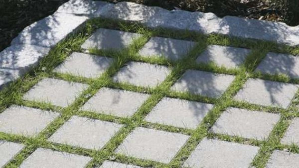 Viastein Sempre Verde gyephézagos térkő - 8 cm